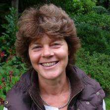 cv foto 2016